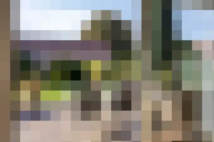 Dwarskade 42 Nieuw-Buinen thumbnail 20