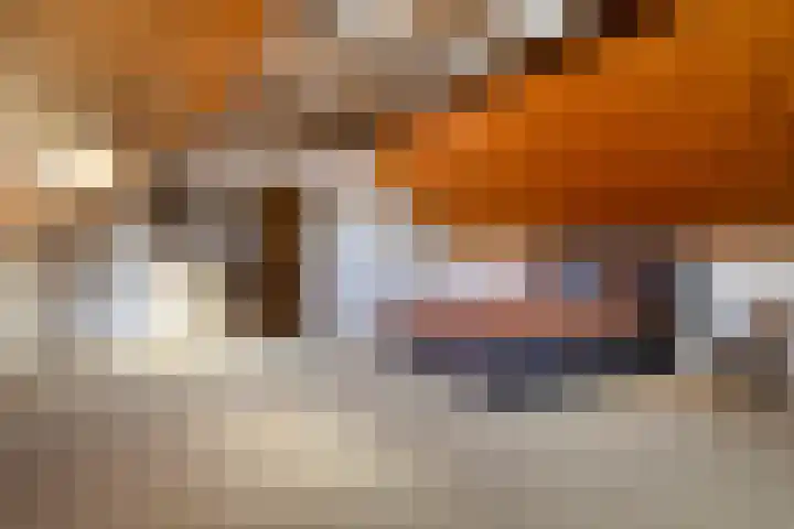 Dwarskade 42 Nieuw-Buinen thumbnail 30