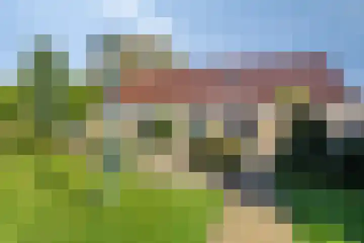 Dwarskade 42 Nieuw-Buinen thumbnail 35
