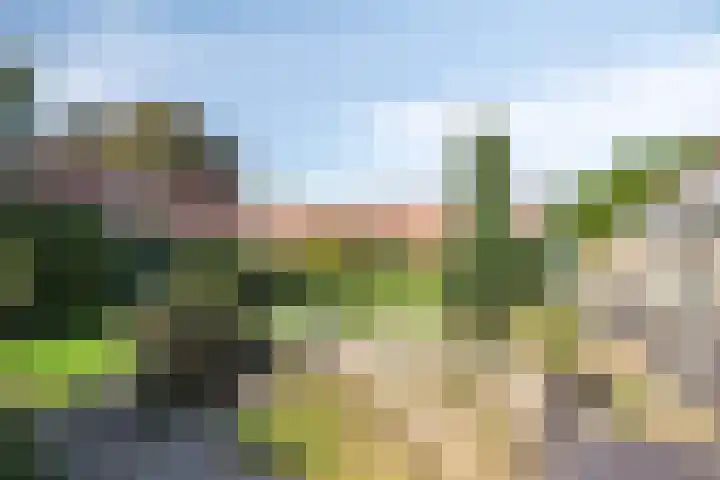 Dwarskade 42 Nieuw-Buinen thumbnail 36