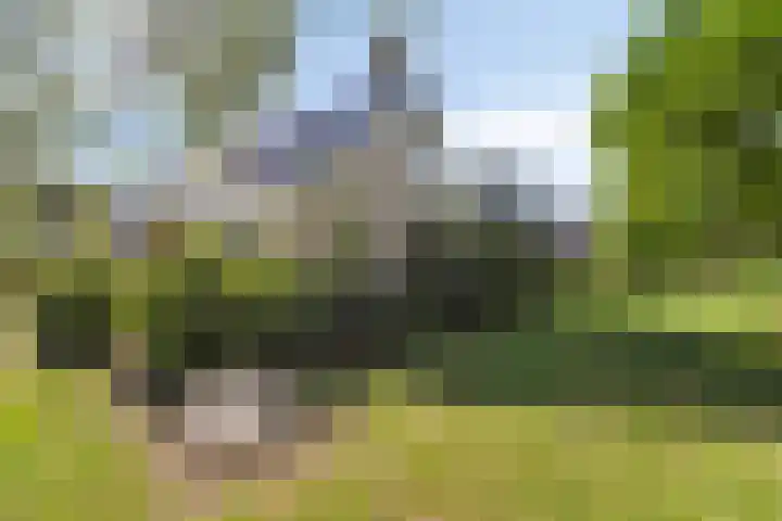 Dwarskade 42 Nieuw-Buinen thumbnail 4
