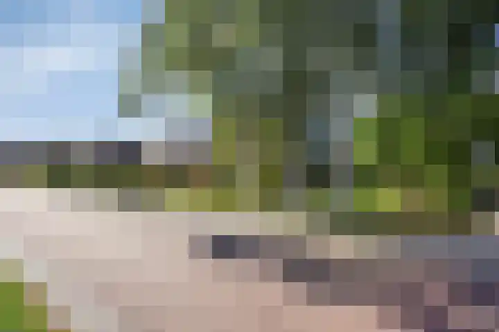 Dwarskade 42 Nieuw-Buinen thumbnail 5