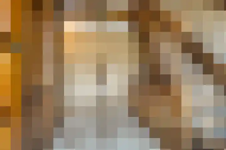 Dwarskade 42 Nieuw-Buinen thumbnail 9