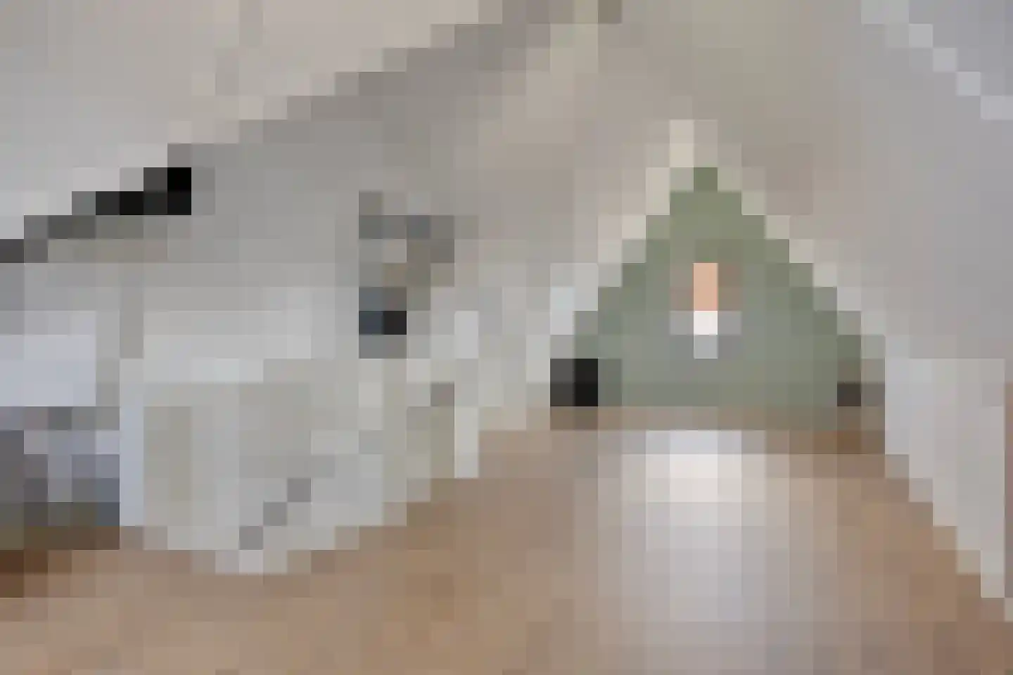 Dwarskamp 2 Bunschoten-Spakenburg thumbnail 26