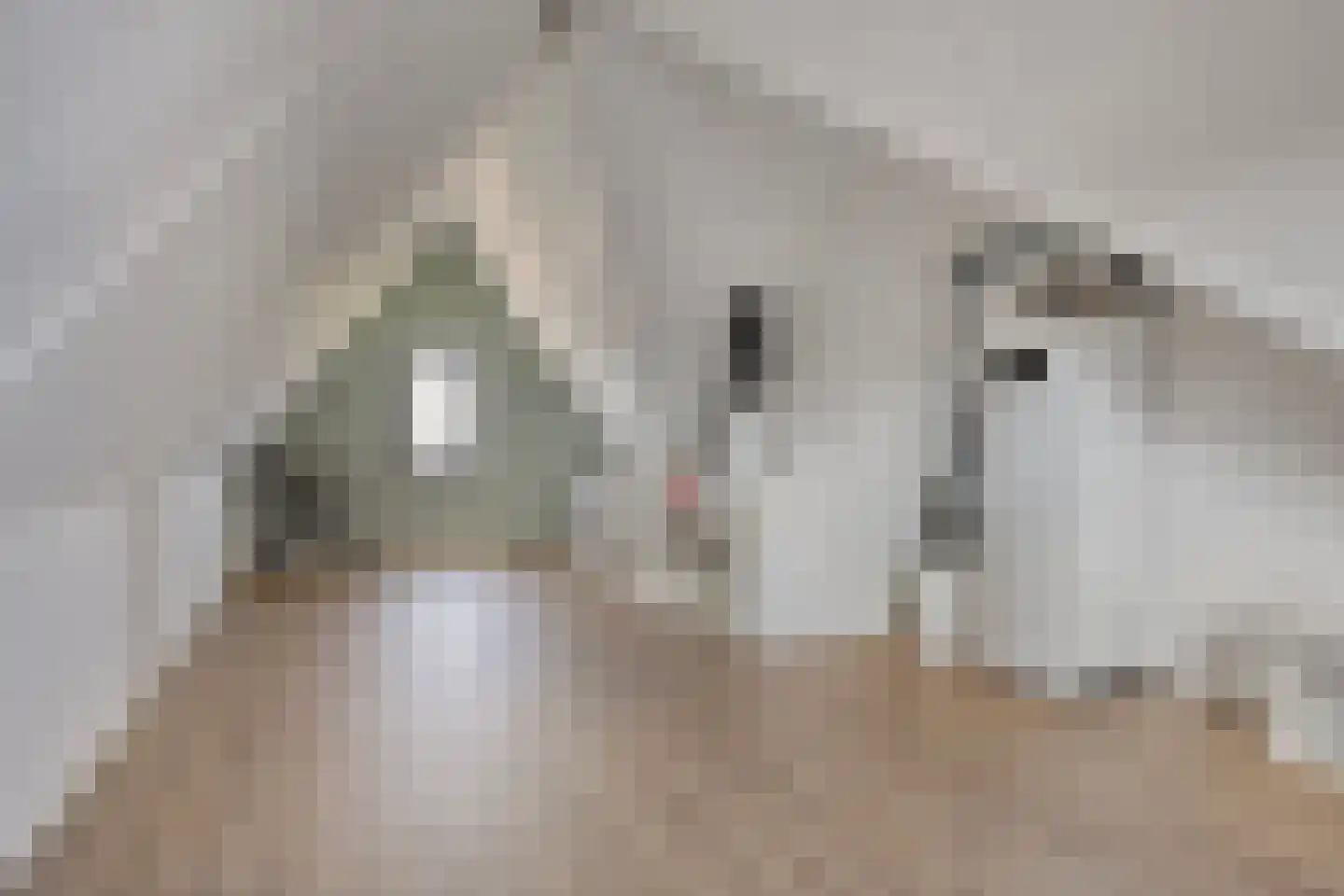 Dwarskamp 2 Bunschoten-Spakenburg thumbnail 27