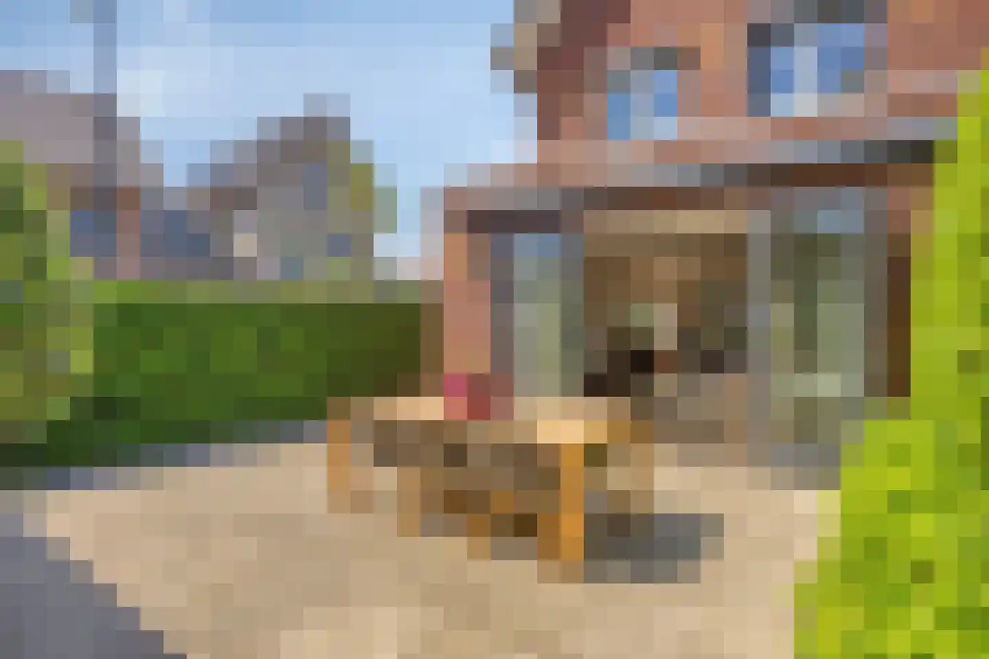 Dwarskamp 2 Bunschoten-Spakenburg thumbnail 32