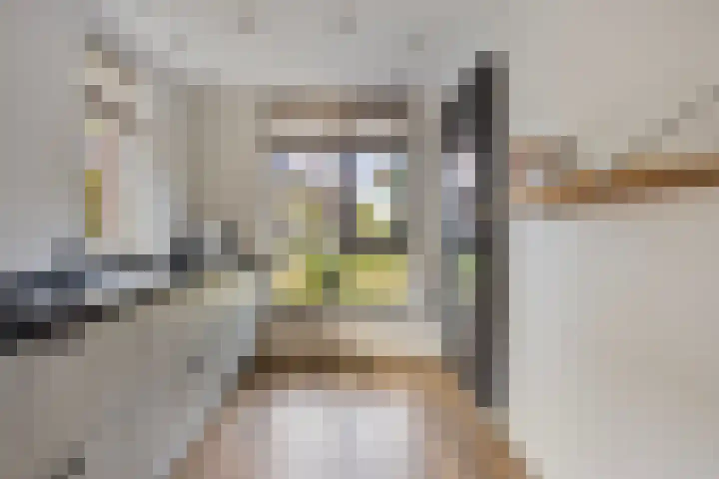 Dwarskamp 2 Bunschoten-Spakenburg thumbnail 4
