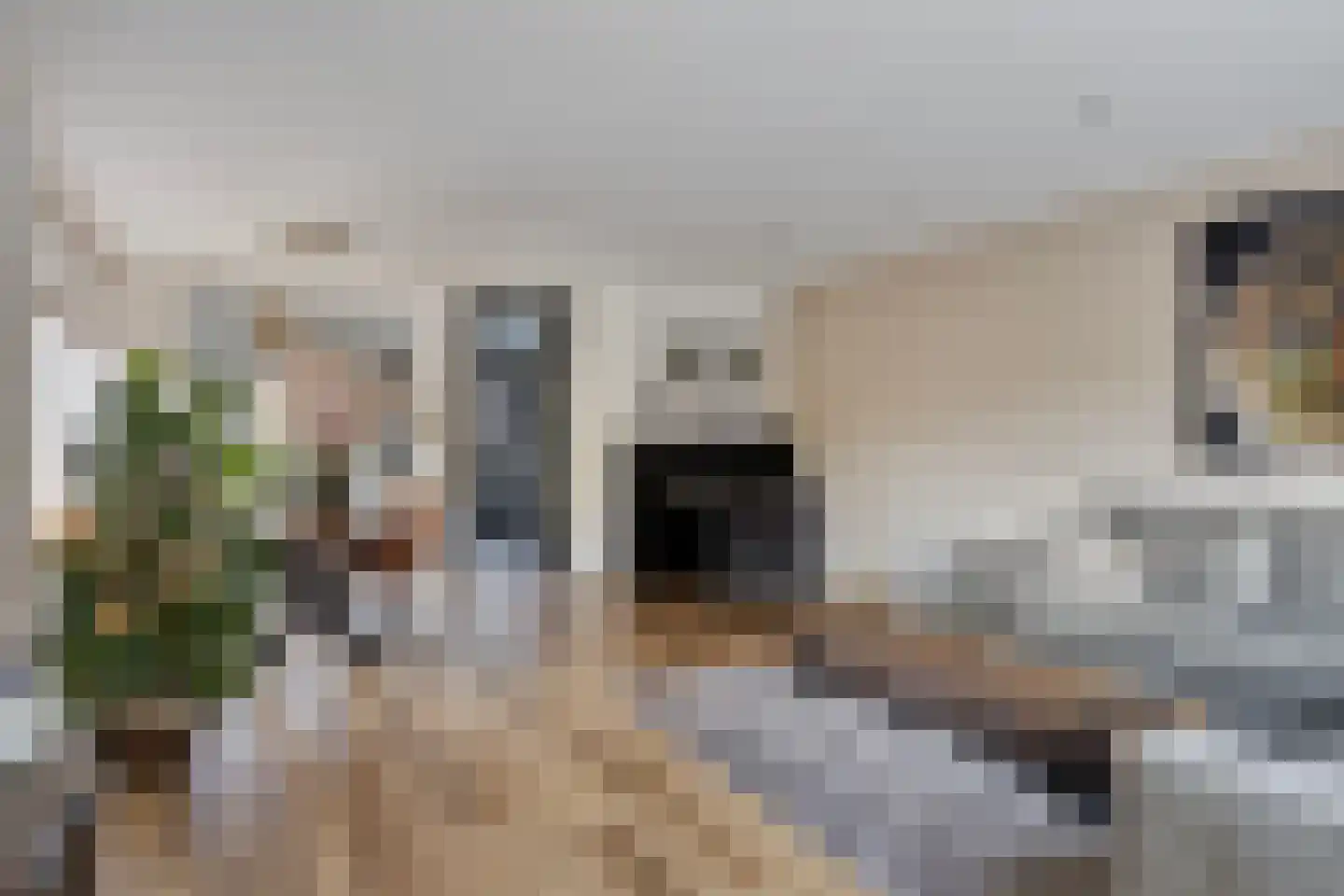 Dwarskamp 2 Bunschoten-Spakenburg thumbnail 8