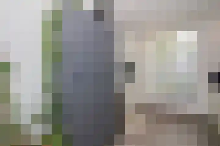 Dwarskamp 7 Bunschoten-Spakenburg thumbnail 11