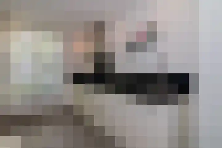 Dwarskamp 7 Bunschoten-Spakenburg thumbnail 12