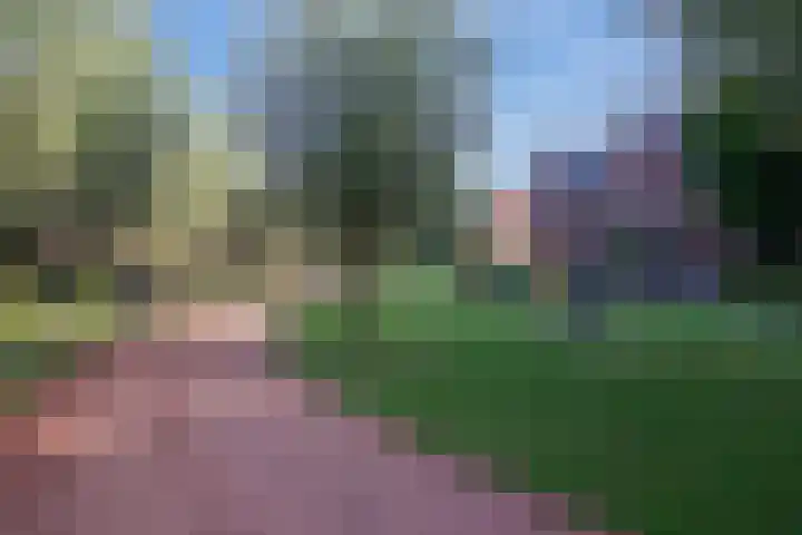 Dwarskamp 7 Bunschoten-Spakenburg thumbnail 38