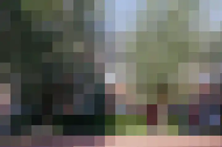 Dwarskamp 7 Bunschoten-Spakenburg thumbnail 39