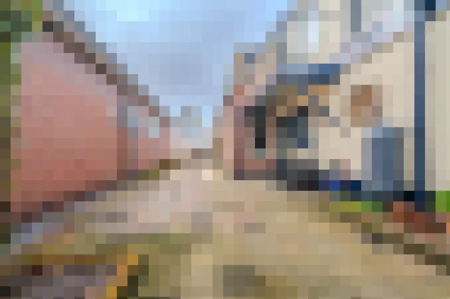 Dwarslaan 10 Scheemda thumbnail 39