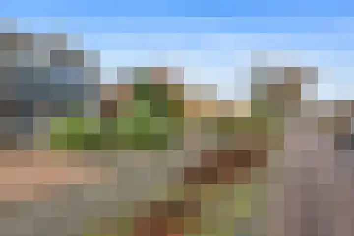 Dwarslaan 11 Muntendam thumbnail 35