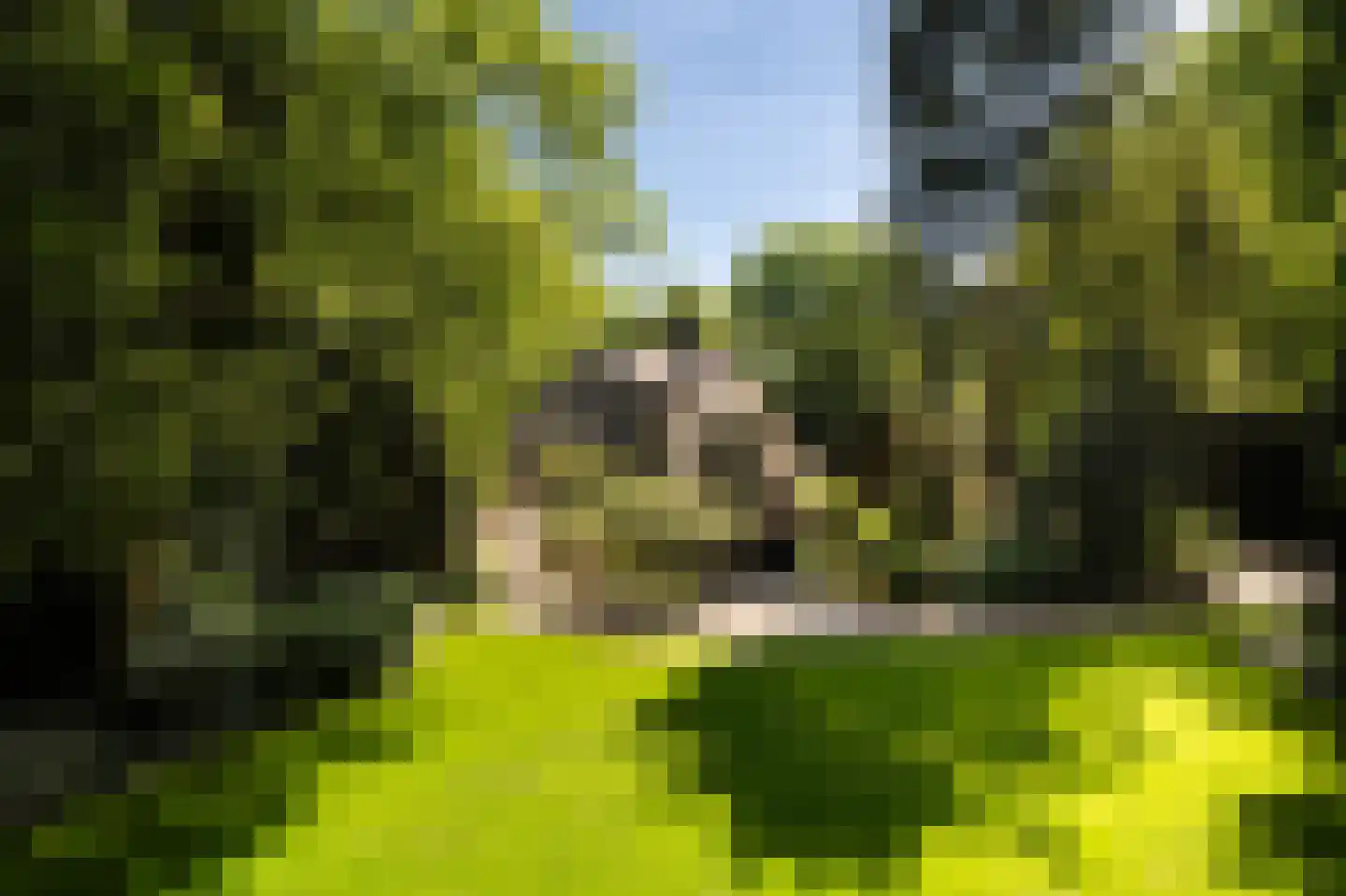 Dwarslaan 39 Blaricum thumbnail 41