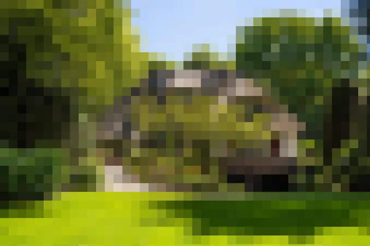 Dwarslaan 39 Blaricum thumbnail 43