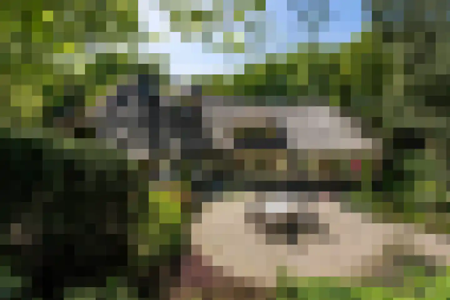 Dwarslaan 39 Blaricum thumbnail 44