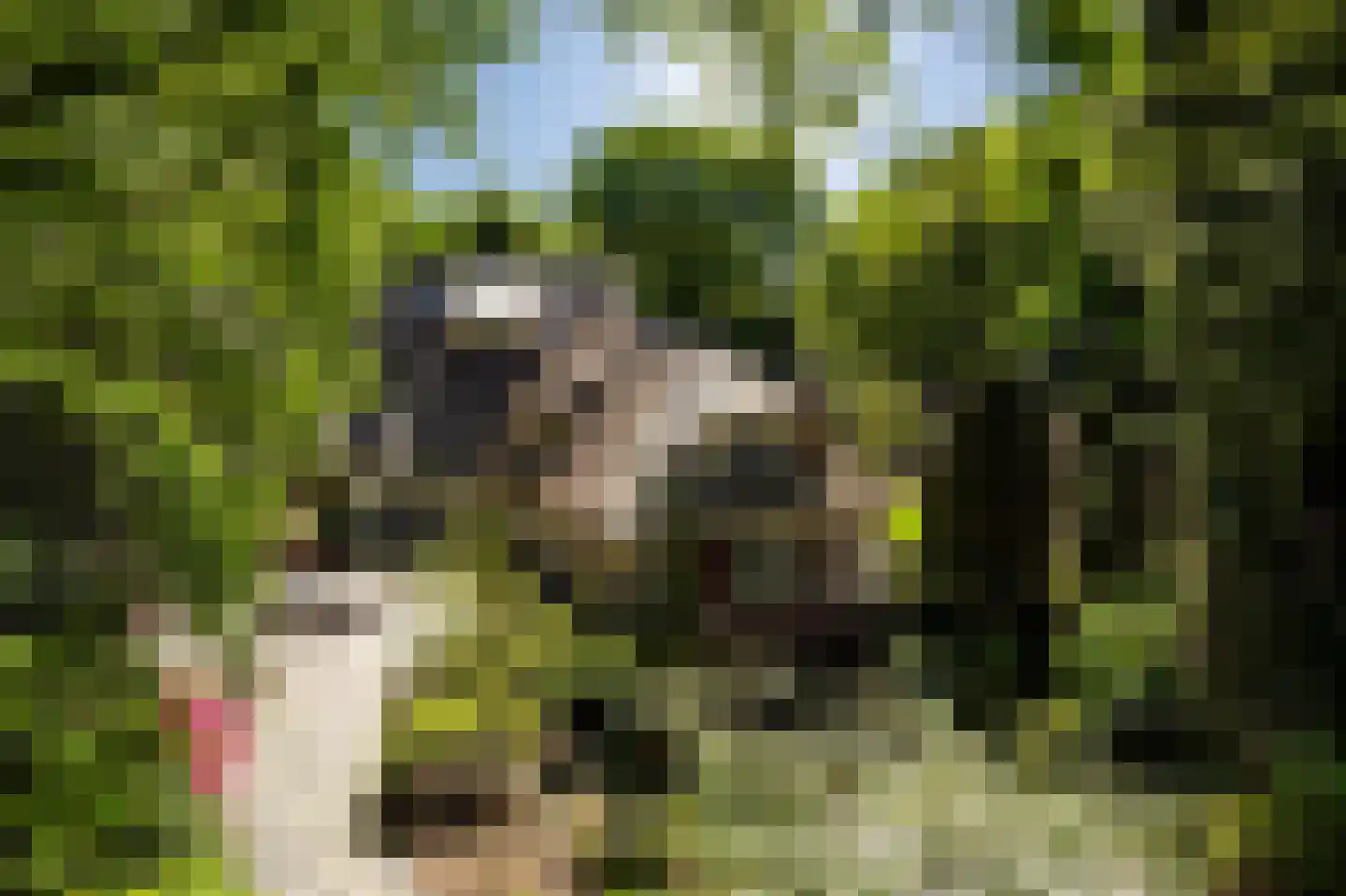 Dwarslaan 39 Blaricum thumbnail 45