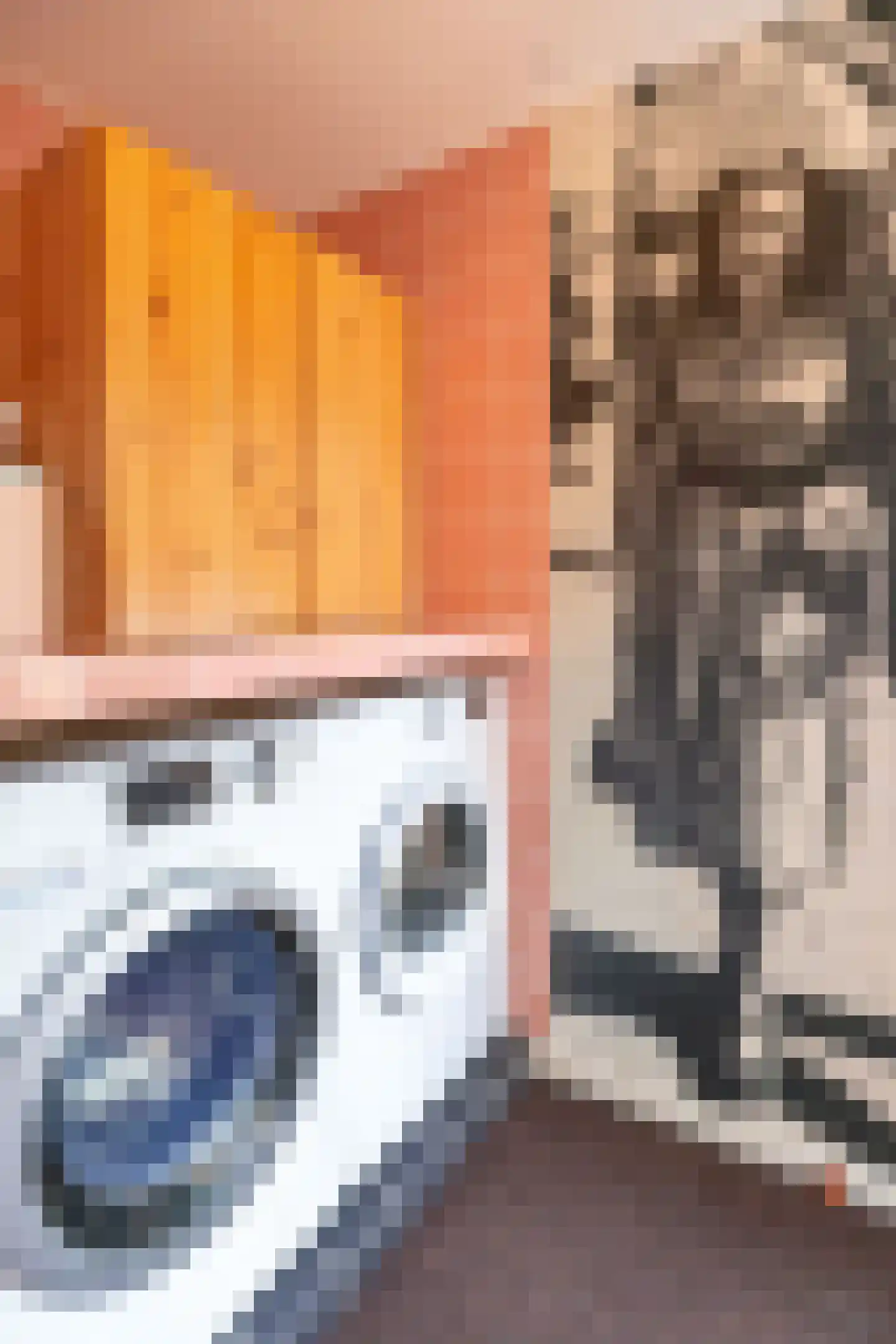 Dwarsland 18 Andijk thumbnail 41