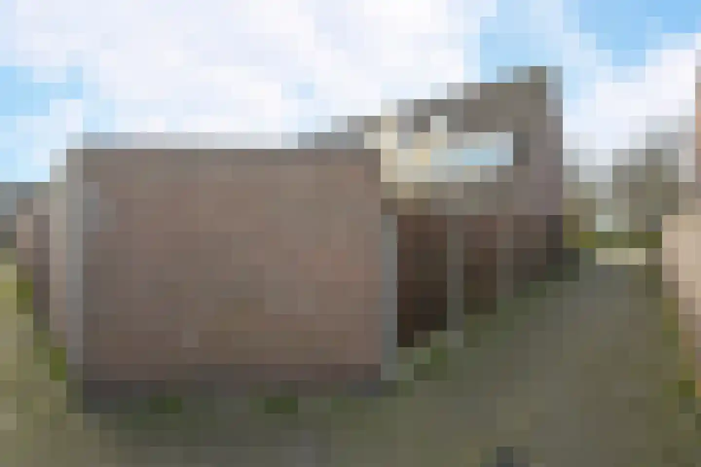 Dwarsland 19 Poeldijk thumbnail 36