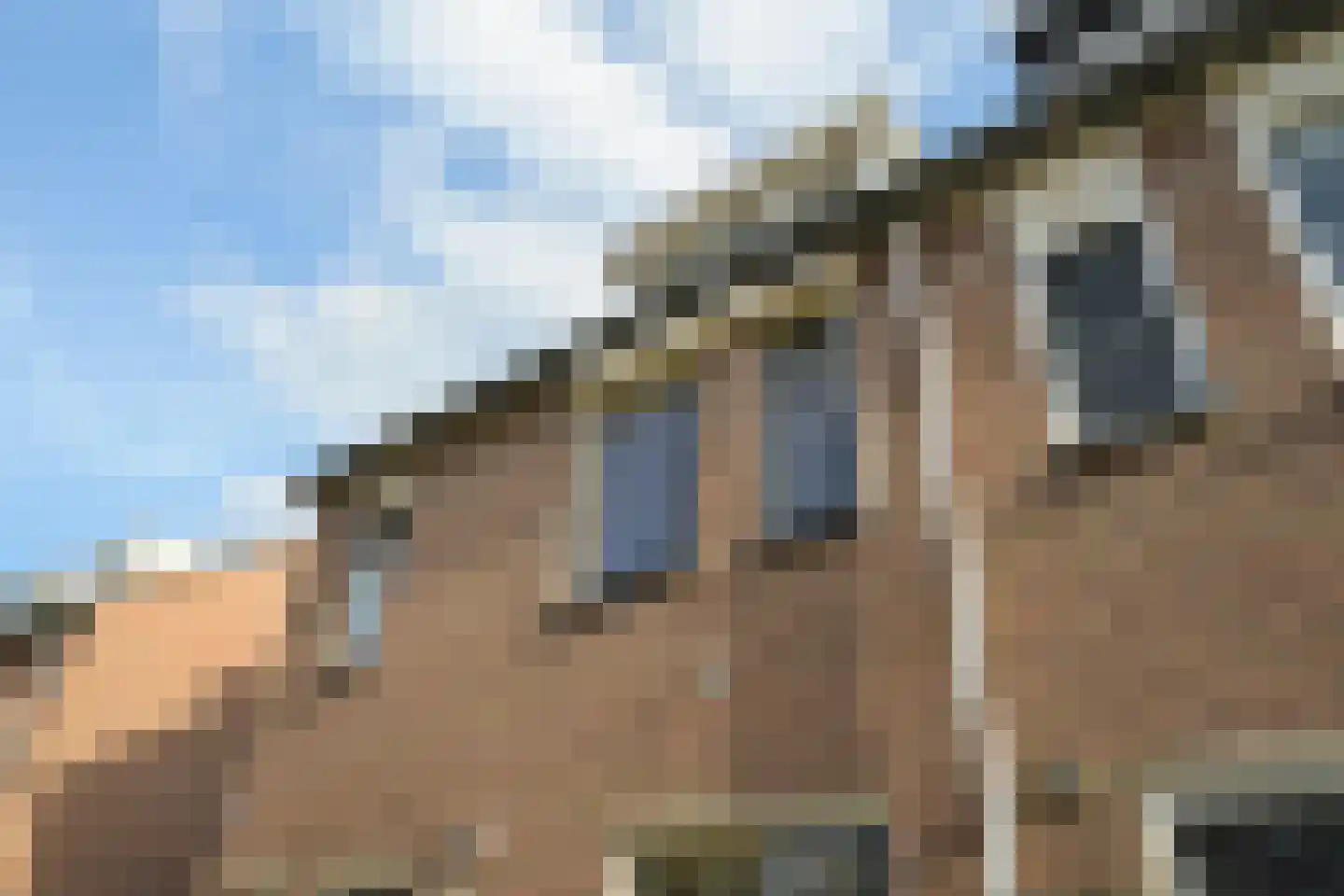 Dwarsland 19 Poeldijk thumbnail 7
