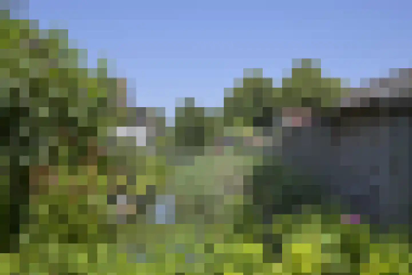 Dwarsland 22 Poeldijk thumbnail 42