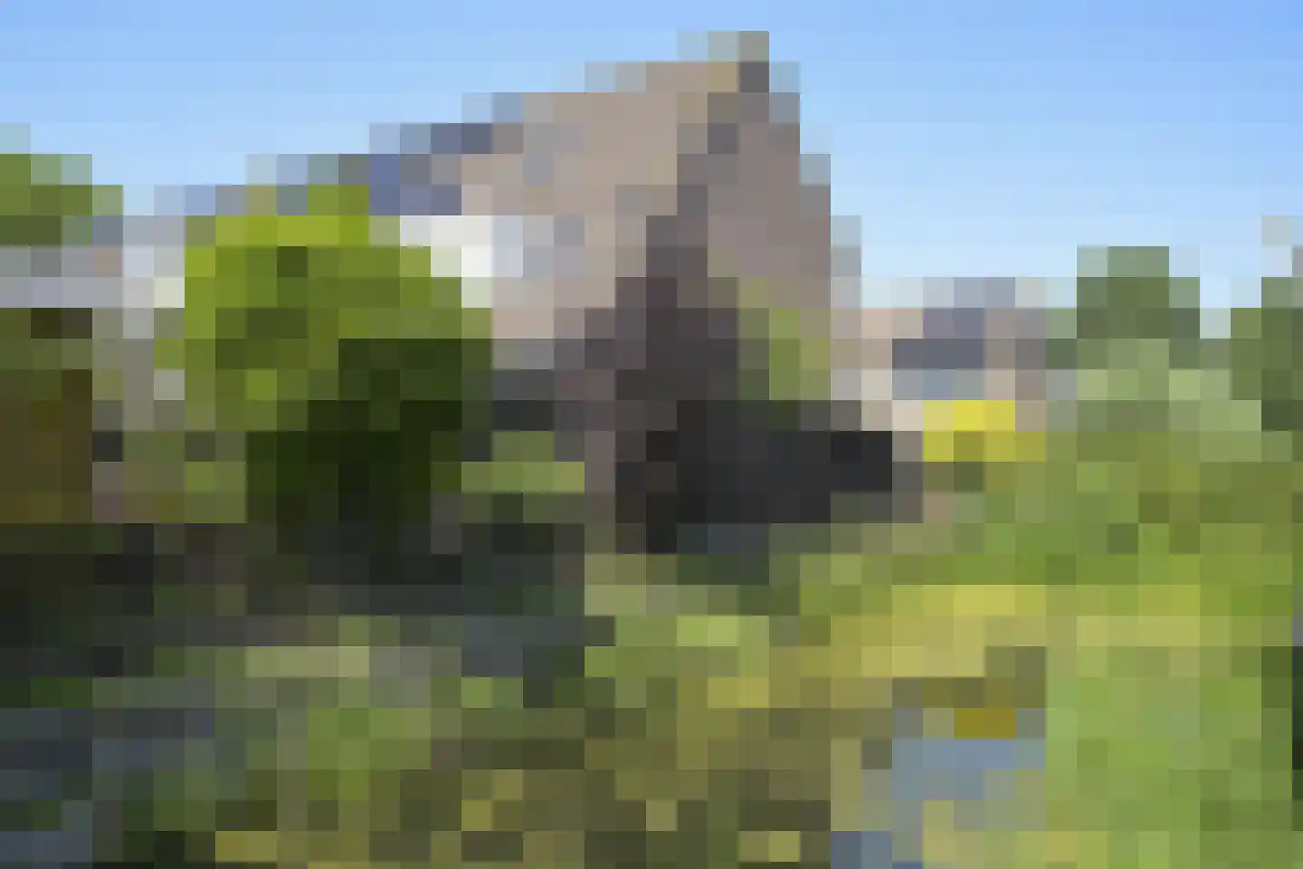 Dwarsland 22 Poeldijk thumbnail 44