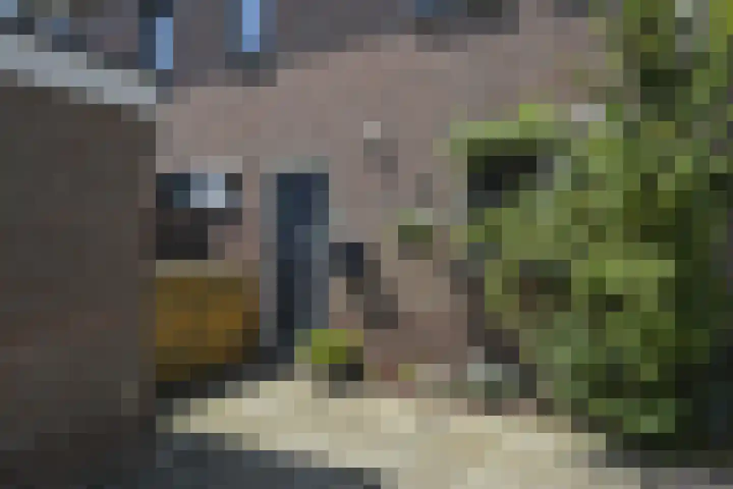 Dwarsland 22 Poeldijk thumbnail 8