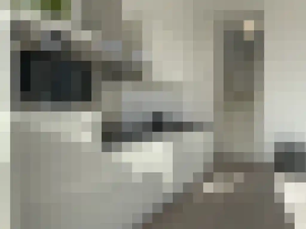 Dwarsligger 27 Utrecht thumbnail 4