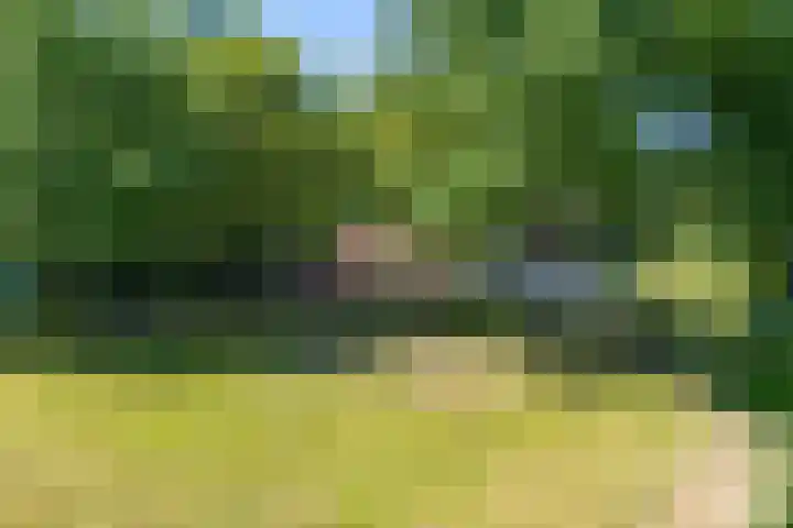 Dwarsloane 4 Damwâld thumbnail 11