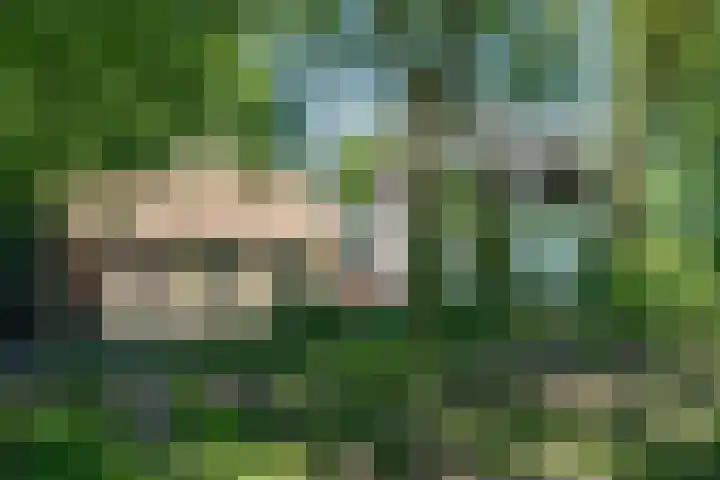 Dwarsloane 4 Damwâld thumbnail 12