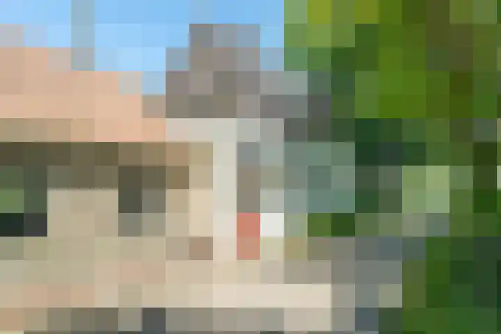 Dwarsloane 4 Damwâld thumbnail 13