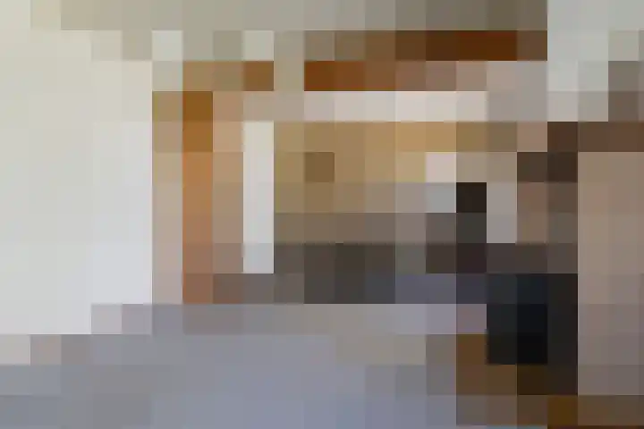 Dwarsloane 4 Damwâld thumbnail 16