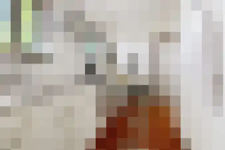 Dwarsloane 4 Damwâld thumbnail 18