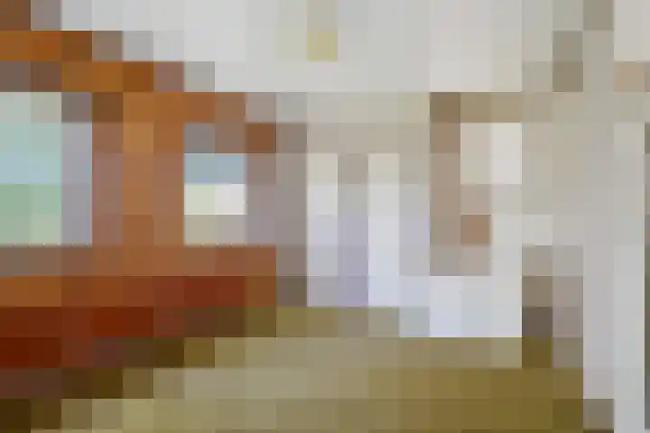 Dwarsloane 4 Damwâld thumbnail 20