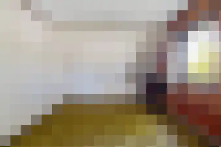 Dwarsloane 4 Damwâld thumbnail 21