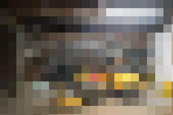 Dwarsloane 4 Damwâld thumbnail 28