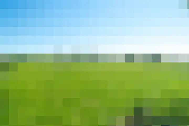 Dwarsloane 4 Damwâld thumbnail 35