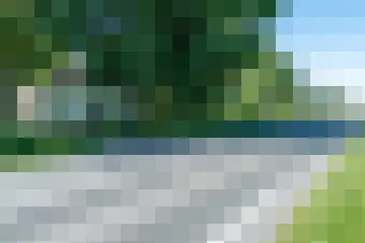 Dwarsloane 4 Damwâld thumbnail 38