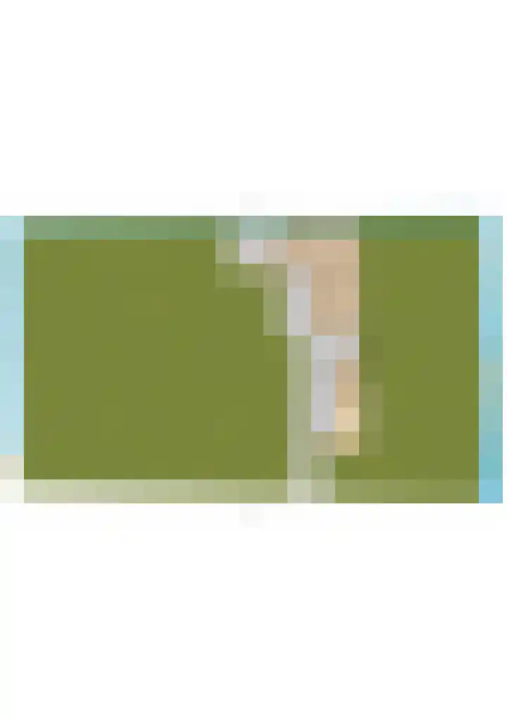 Dwarsloane 4 Damwâld thumbnail 42