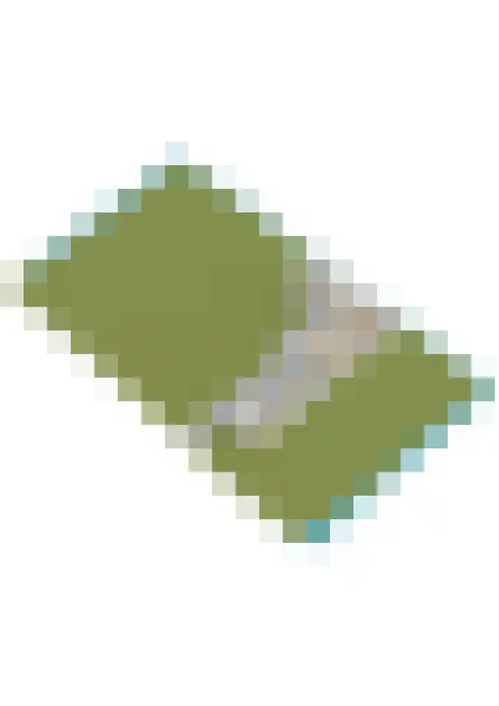 Dwarsloane 4 Damwâld thumbnail 46