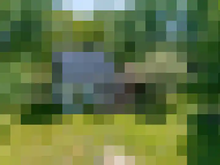 Dwarsloane 4 Damwâld thumbnail 5