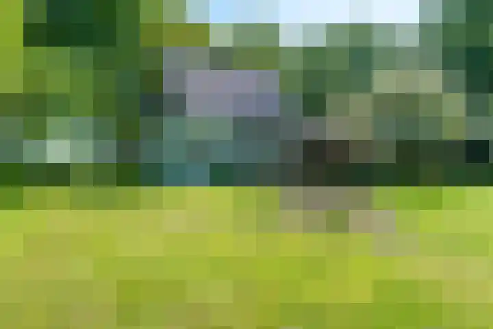 Dwarsloane 4 Damwâld thumbnail 6