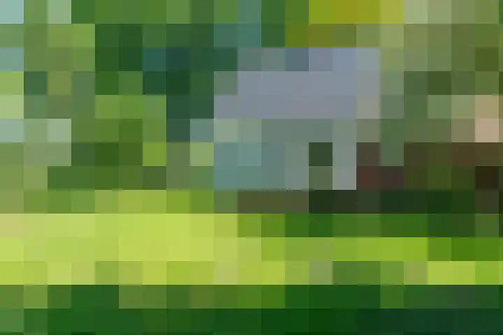 Dwarsloane 4 Damwâld thumbnail 7