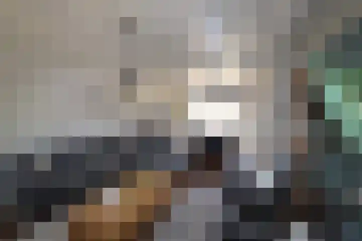 Dwarsnoard 16 Workum thumbnail 12