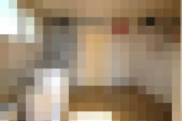 Dwarsnoard 16 Workum thumbnail 17