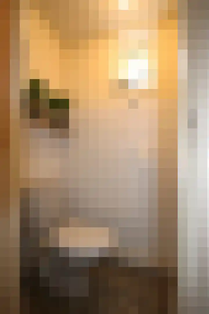 Dwarsnoard 16 Workum thumbnail 18