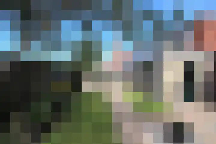 Dwarsnoard 16 Workum thumbnail 19