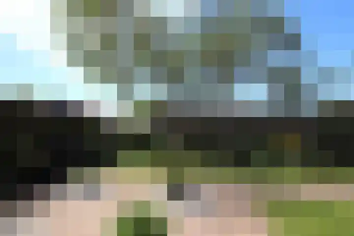 Dwarsnoard 16 Workum thumbnail 20