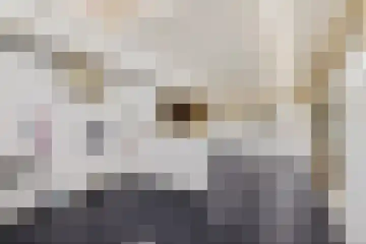 Dwarsnoard 21 Workum thumbnail 13